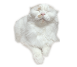 gura-tan sticker #13472450