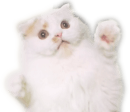 gura-tan sticker #13472451