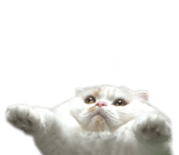 gura-tan sticker #13472452