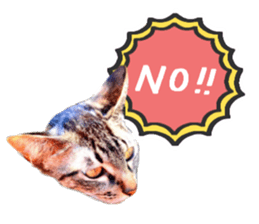 Many cats Sticker sticker #13473645