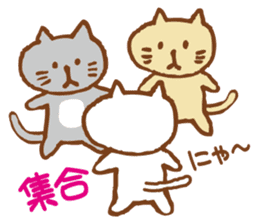 White Cat Every day usage word(simple) sticker #13474276