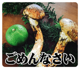 Yum yum yummy Sticker sticker #13475897