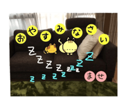 ANIMAL animals sticker #13476113