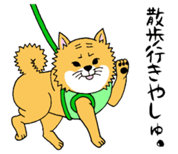 I'm COJIRO of the Japanese midget Shiba2 sticker #13476521