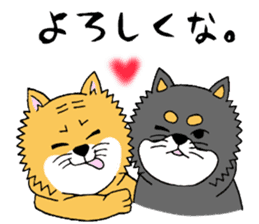 I'm COJIRO of the Japanese midget Shiba2 sticker #13476548