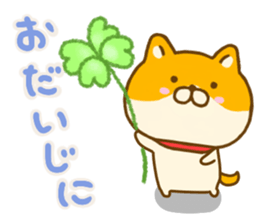 Shiba inu Yuru sticker #13476666