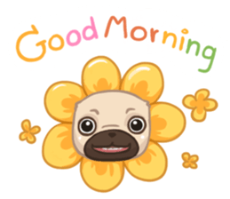 Dodo The Pug sticker #13476672