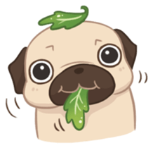 Dodo The Pug sticker #13476682