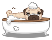 Dodo The Pug sticker #13476685
