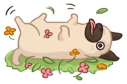 Dodo The Pug sticker #13476709