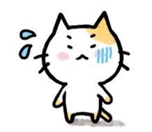 "MAYUNEKO" The cats with eyebrows!3ver.3 sticker #13477165