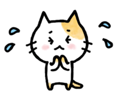 "MAYUNEKO" The cats with eyebrows!3ver.3 sticker #13477190