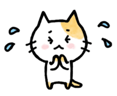 "MAYUNEKO" The cats with eyebrows!3ver.3 sticker #13477190