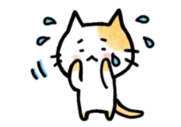 "MAYUNEKO" The cats with eyebrows!3ver.3 sticker #13477194