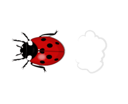 Ladybug wants to speak sticker #13479993