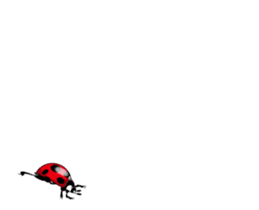 Ladybug wants to speak sticker #13479998