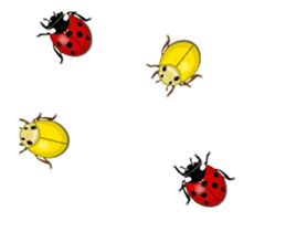 Ladybug wants to speak sticker #13480004