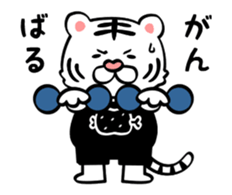 Tiger's Workout - Animated Stickers - sticker #13480412