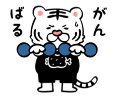 Tiger's Workout - Animated Stickers - sticker #13480412