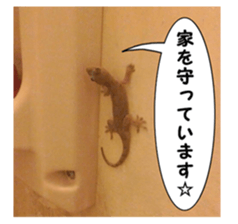 my photo.002 sticker #13481078