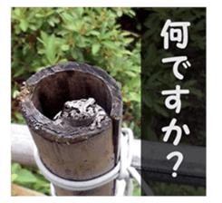 my photo.002 sticker #13481084