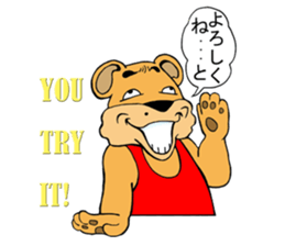 COOL?! "BEAR-KICHI" sticker #13481124