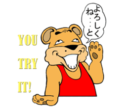 COOL?! "BEAR-KICHI" sticker #13481124