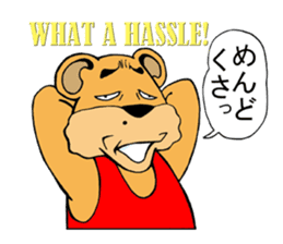 COOL?! "BEAR-KICHI" sticker #13481128