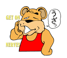 COOL?! "BEAR-KICHI" sticker #13481134