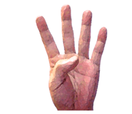 Convenient hand sign sticker #13481154