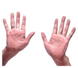 Convenient hand sign sticker #13481181