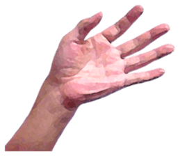 Convenient hand sign sticker #13481183