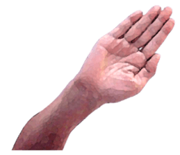 Convenient hand sign sticker #13481184