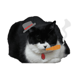Every day of a cat. sticker #13481370