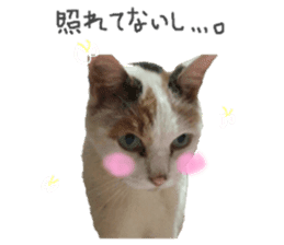 Every day of a cat. sticker #13481378