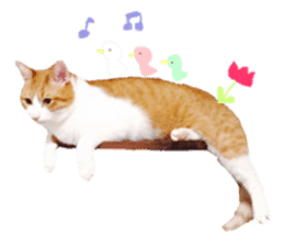 Every day of a cat. sticker #13481380
