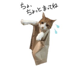 Every day of a cat. sticker #13481381