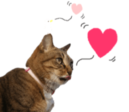 Every day of a cat. sticker #13481383