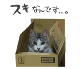 Every day of a cat. sticker #13481384