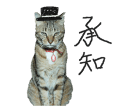 Every day of a cat. sticker #13481385