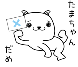 tamachan send Sticker sticker #13484143