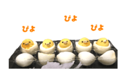 Moving Real Egg sticker #13484325