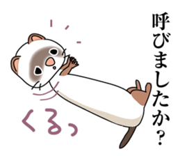 Cute ferret Sticker sticker #13485839