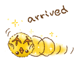 Golden chick(English ver.) sticker #13486680