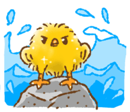 Golden chick(English ver.) sticker #13486699