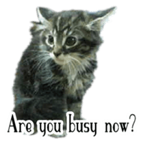 Picture of the kitten English version sticker #13487258