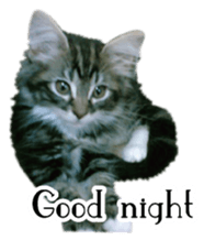 Picture of the kitten English version sticker #13487259