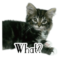 Picture of the kitten English version sticker #13487261