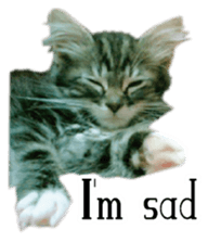 Picture of the kitten English version sticker #13487263