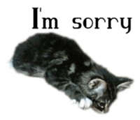 Picture of the kitten English version sticker #13487264